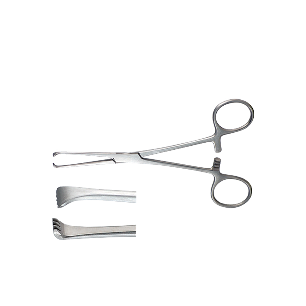 Allis forceps used in surgical procedure medical instrument